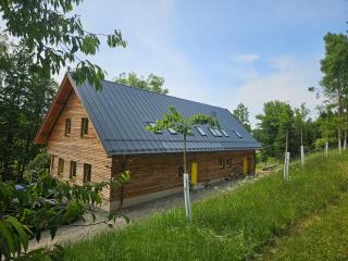 Prázdninový dům Borovnička - Borovnička - 0