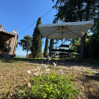 B&B Podere Cottimellino - Montalcino - Val d'Orcia - Montalcino - 8