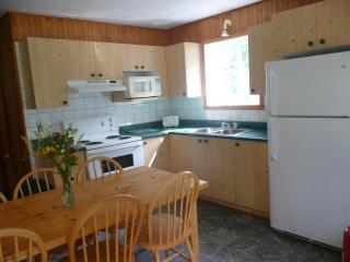 Chalet À louer en nature - Saint Zenon - 7