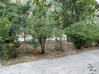 Дача РОМИТ - Dushanbe - 5