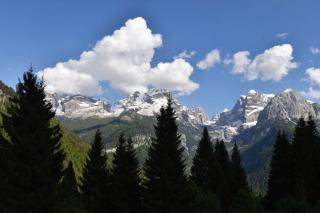 Genziana Apartment MhD - Madonna di Campiglio - 5