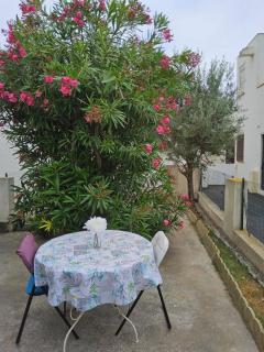 Le Cardinale in Barcarès Beach 4 people - 9