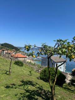 Villa Marita 1900 - 4