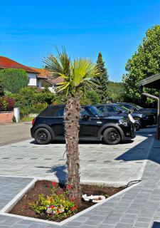 Junior-Suite Exclusive Apartment 5 - Friedrichshafen - 3
