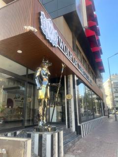 Wolf Of The City Hotel & Spa - Antalya - 3