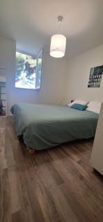 Grand cottage le pré bleu 11mn lac - Thizy-les-Bourgs - 3