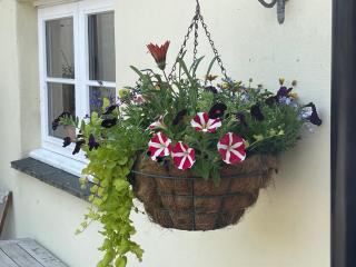 South Sandpark Cottage - Barnstaple - 3