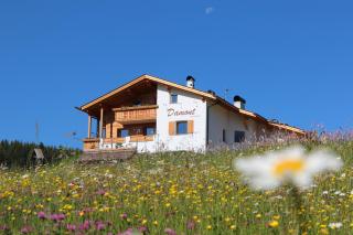 Apartments DAMONT - Santa Cristina in Val Gardena - 6