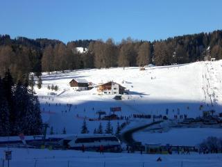 Apartments DAMONT - Santa Cristina in Val Gardena - 5