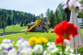 Apartments DAMONT - Santa Cristina in Val Gardena - 3