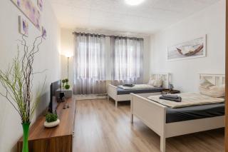 FLEX Aparts - möblierte Wohnung in Zwickau - 0