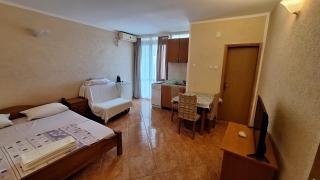 Ivanovic Family House Apartments - Sutomore - 5
