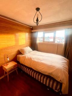 Cálido Bulnes - Punta Arenas - 5