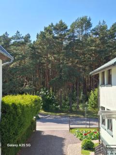 Arti Jūros Neringos 8 - Palanga - 5