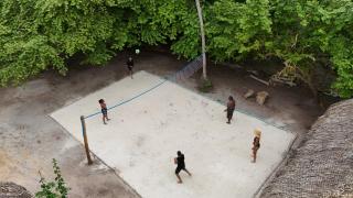 Palma Plata islas del Rosario - 1