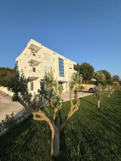 MEGA Apartments - Fushë-Draç - 0