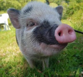 Le Domaine des Sources - 9