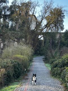 Etruscan Garden Apartment - 1