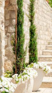 Kulla e Balshajve - Ulcinj - 8