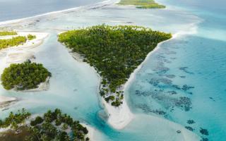 Alaroots Rangiroa - - 7