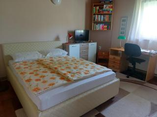 Balaton Holiday Home - 8