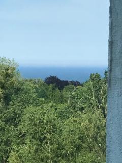 Apartament Blue Nest - Sopot - 0