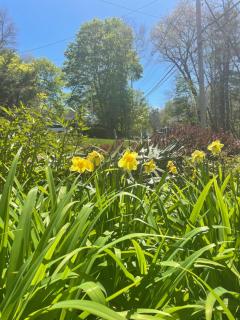 Convenient & Cozy Stay Near Boston - Andover - 1