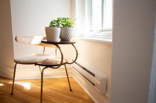 Elegant, Classic Plateau Apartment - Montréal - 5