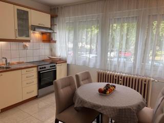Apartment Bionda Free parking - Zagreb - 3