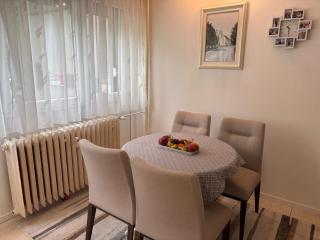 Apartment Bionda Free parking - Zagreb - 1