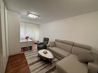 Apartment Bionda Free parking - Zagreb - 7