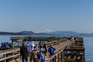 Sidney Sunnyside - Luxurious Seaside Living in Amazing Sidney by Victoria Prime! - Sidney - 5
