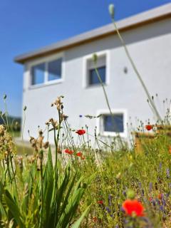 Ferienhaus am Thüringer Meer - 8
