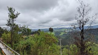 NYUNGWE VILLAGE - Kitabi - 5