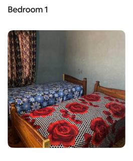 Cozy Apartment - Serekunda - 1