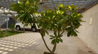 شاليه الماسيه خاص و مميز بأحدث المواصفات لنصنع الجمال بعينه - Riyad - 7