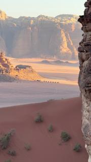 Wadi Rum Deserves Camp - Wadi Rum - 2