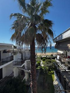 Sani Apartment - Nea Moudania - 0