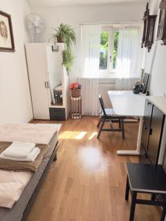 Bears View BB - Bern - 0