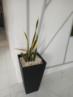 Treasure Beach Inn and Bar - 1