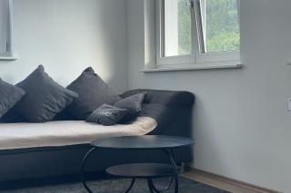 Fe-Ba Ferienwohnung - St. Blasien - 6