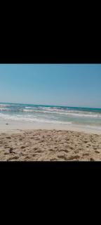 شالية العجمي هانوفيل - Alexandria - 3