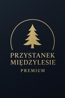 Przystanek Międzylesie - Varsovie - 8