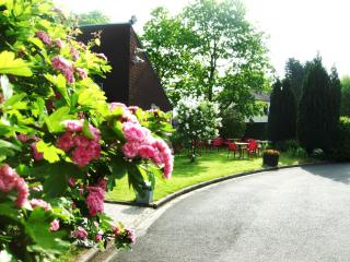 Hotel Bonanite - Villers-Cotterêts - 3