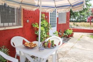 Paradise Farm 20 min from Rabat - Salé - 9