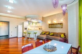 Hotel Apartment Nizami street - Baku - 6