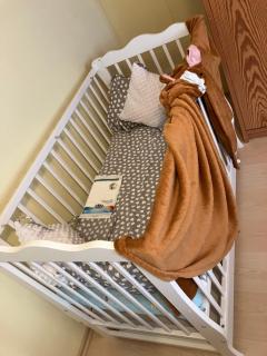 Lebendige Wohnung mit Wohlfühlcharakter - Bayreuth - 9