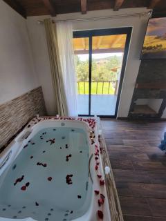 Cabaña con Jacuzzi Mazamitla Escapate al Bosque - - 8