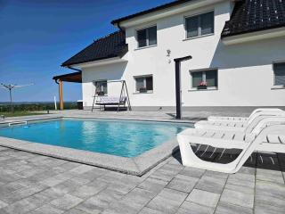 Villa Hojnik - Videm pri Ptuju - 8