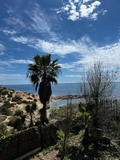 Villa Marta - Alicante - 5